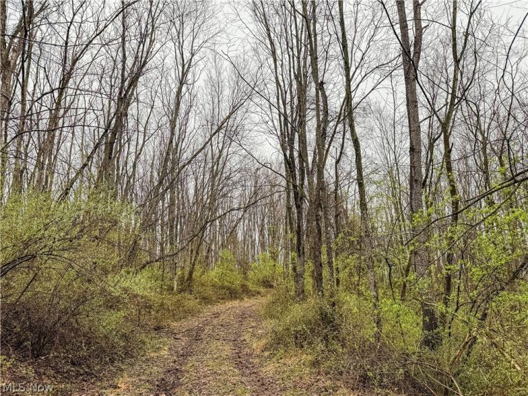 Buck Hill Road, Frazeysburg, OH - Photo 4