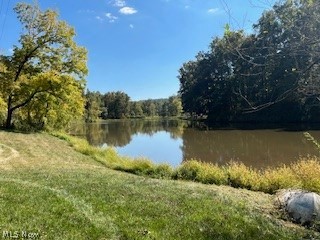 80700 Long Road, Freeport, OH - Photo 8