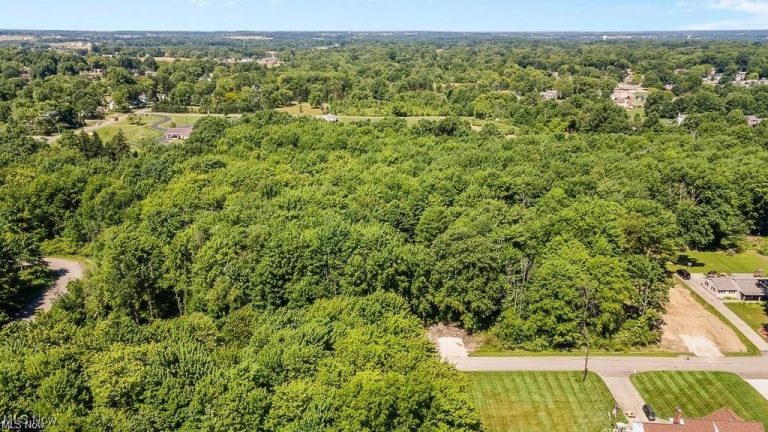 29 Colony Drive, Alliance, OH - Photo 2