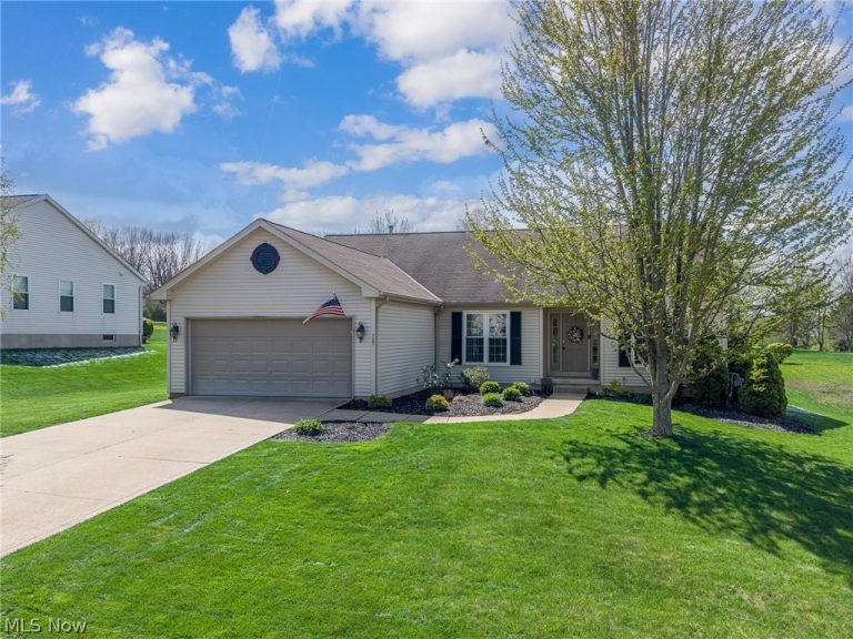 7287 Meadowhaven Drive, Chippewa Lake, OH - Photo 2
