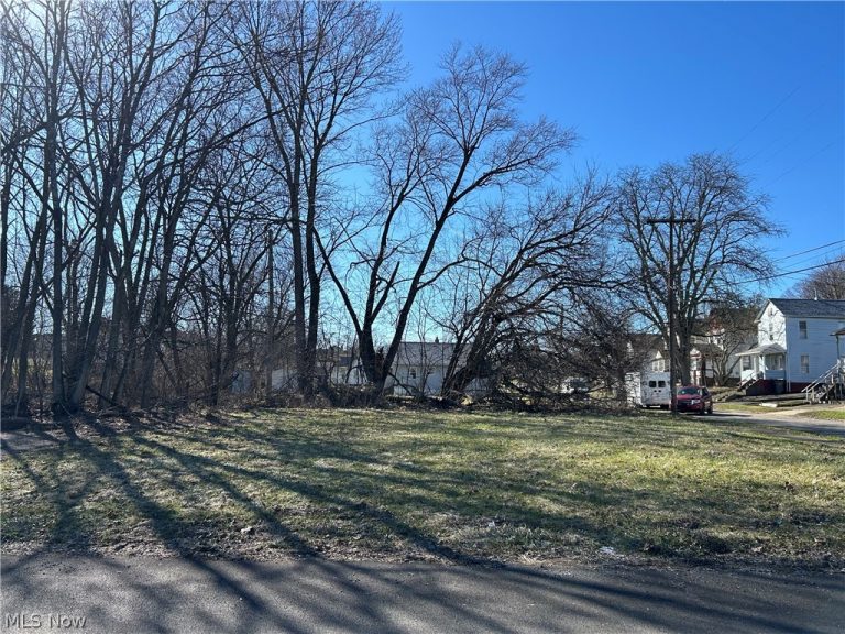 Midland Avenue, Youngstown, OH - Photo 3