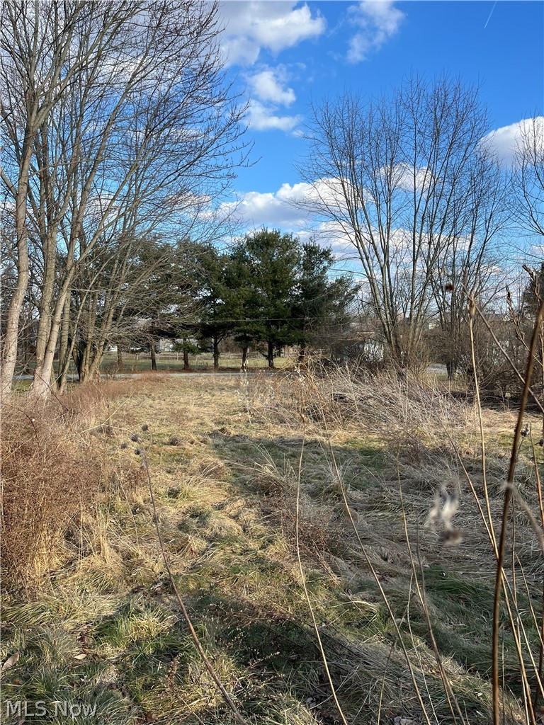14121 Russell Drive, Petersburg, OH - Photo 6