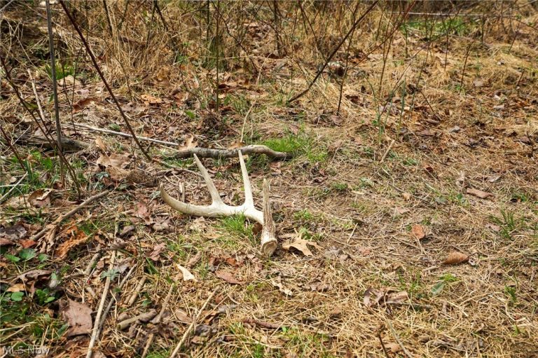 McKee Hill Rd, Frazeysburg, OH - Photo 6