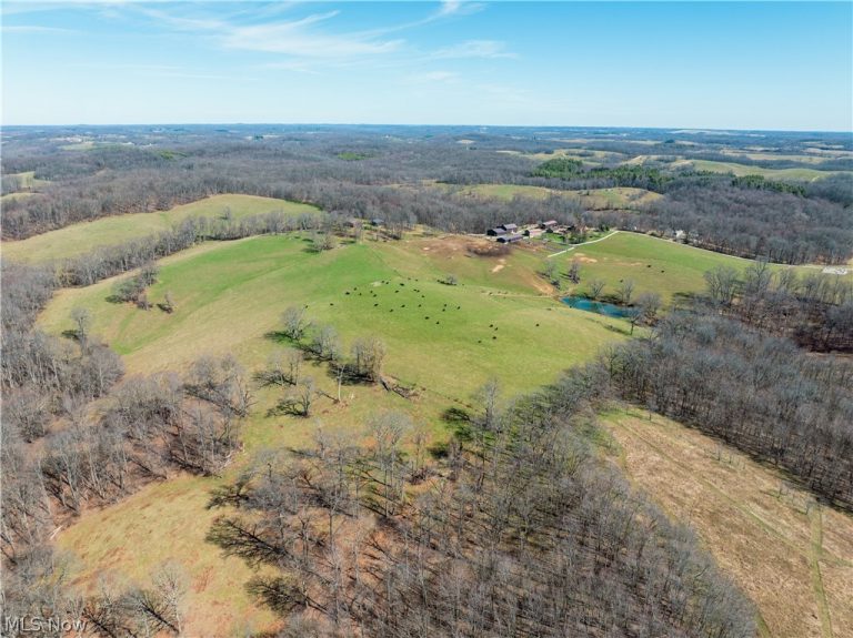 91100 Eckley Road, Jewett, OH - Photo 2