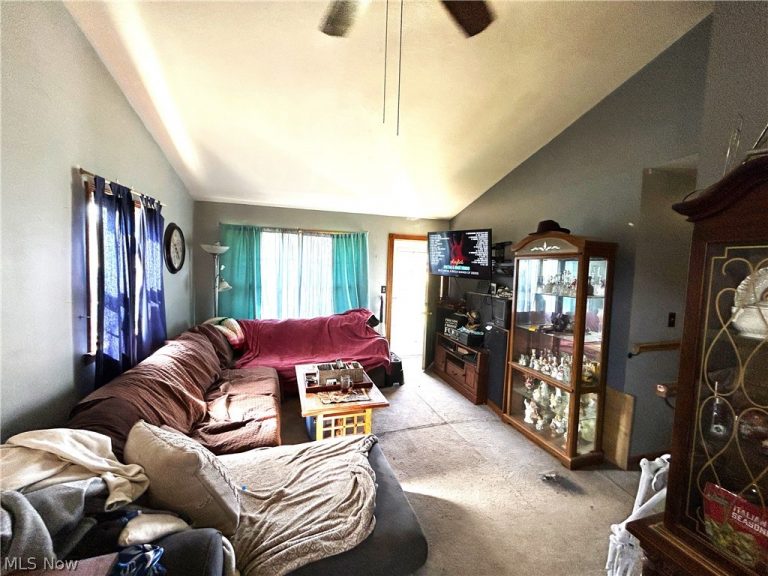 4165 Raymond Drive, Brunswick, OH - Photo 8