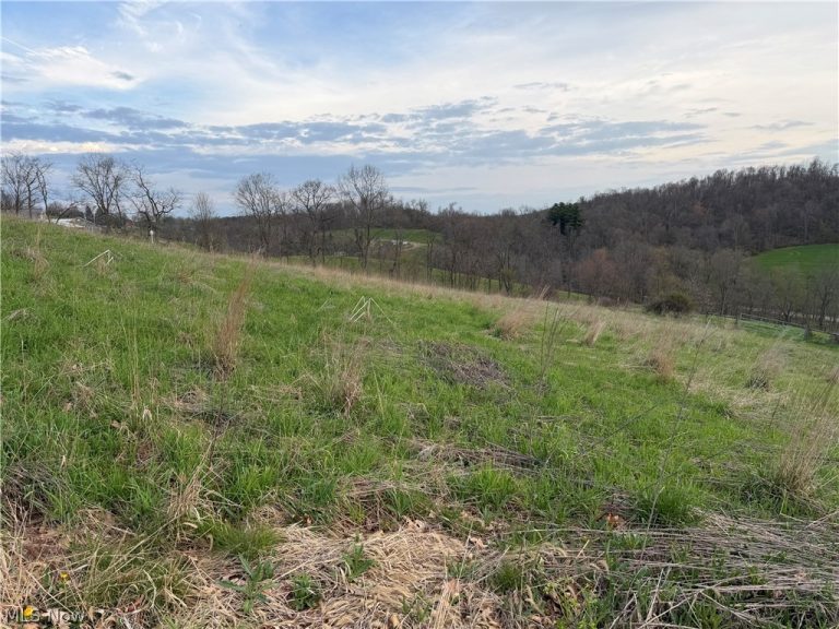 Indian Spring Road, Baltic, OH - Photo 8