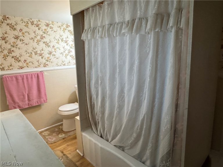 223 Crosby Street, Akron, OH - Photo 8