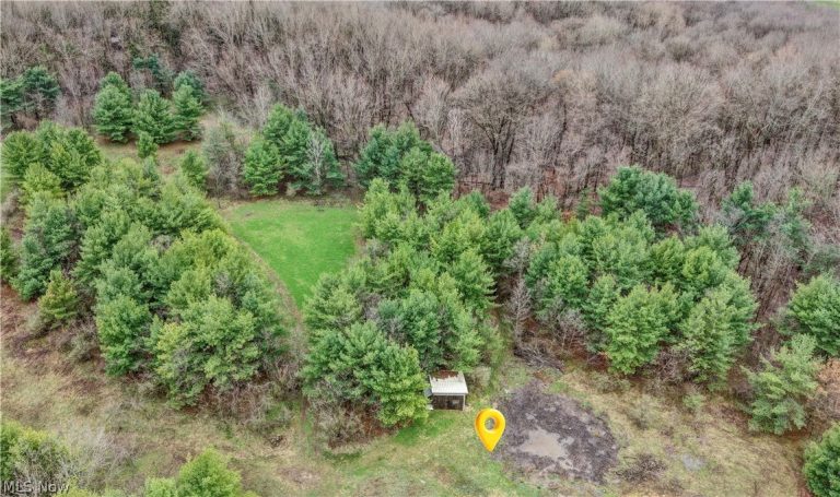 5742 Hilltop Drive, Strasburg, OH - Photo 4