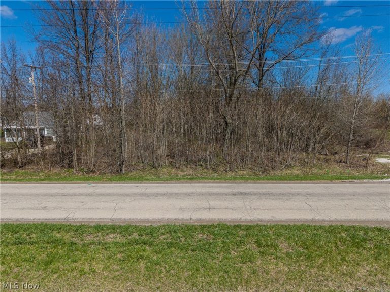 V/L Cooley Road, Columbia Station, OH - Photo 4