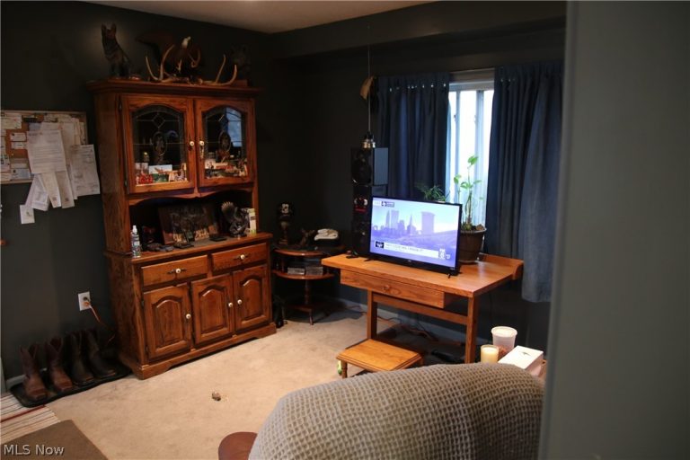 10024 Cummins Lane, Deerfield, OH - Photo 5