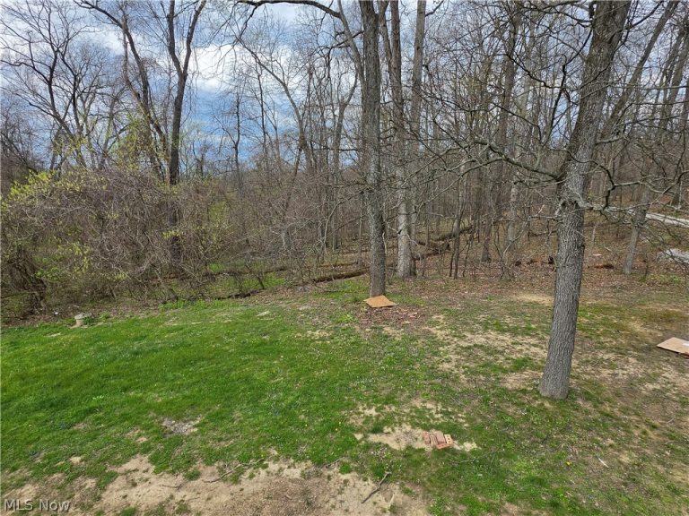 10525 Twin Oaks Drive, Cambridge, OH - Photo 6