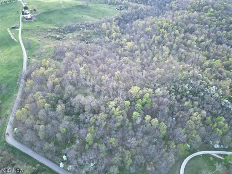 ZANE Road, Lore City, OH - Photo 4