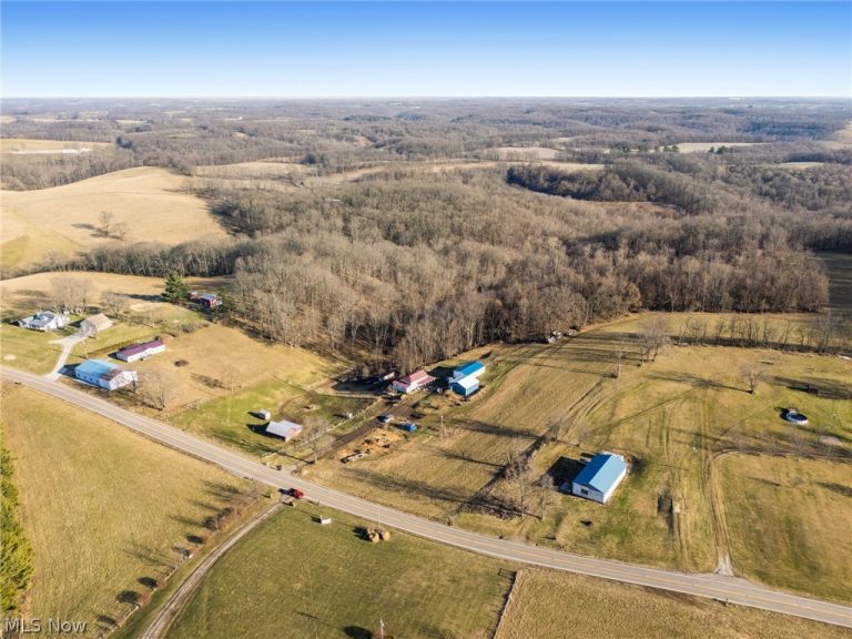 3188 Amsterdam Road, Scio, OH - Photo 2