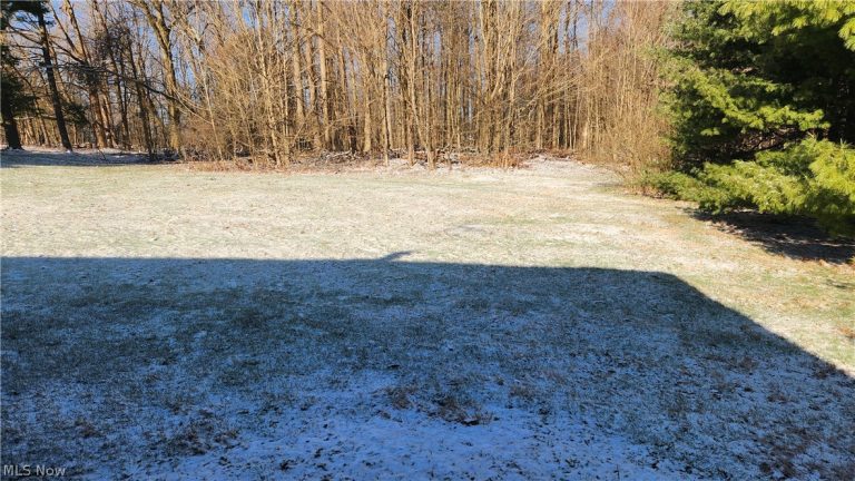 14162 Watt Road, Novelty, OH - Photo 4