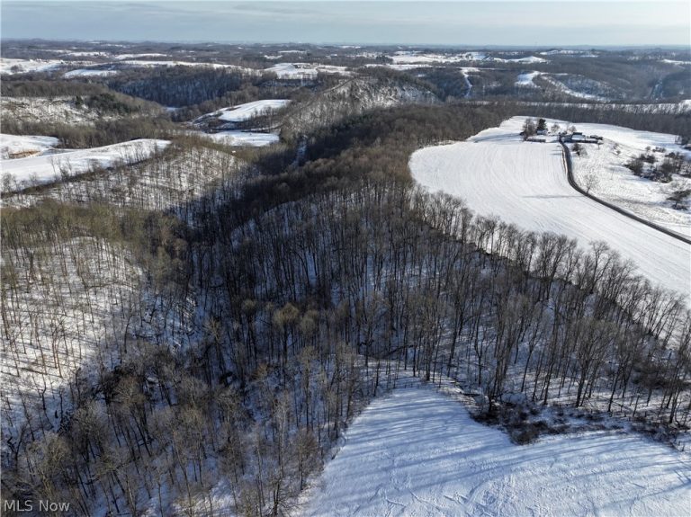 Tract 2 MORRS RIDGE Road, Woodsfield, OH - Photo 4