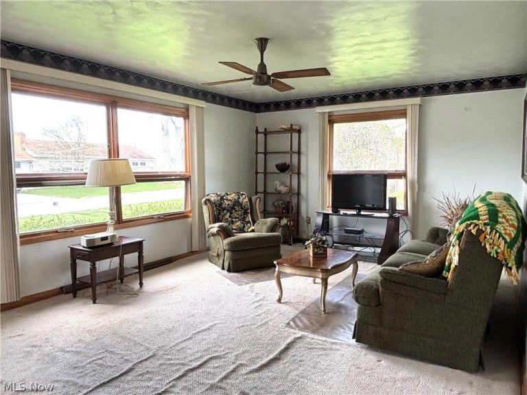 225 6th Street, Columbiana, OH - Photo 4