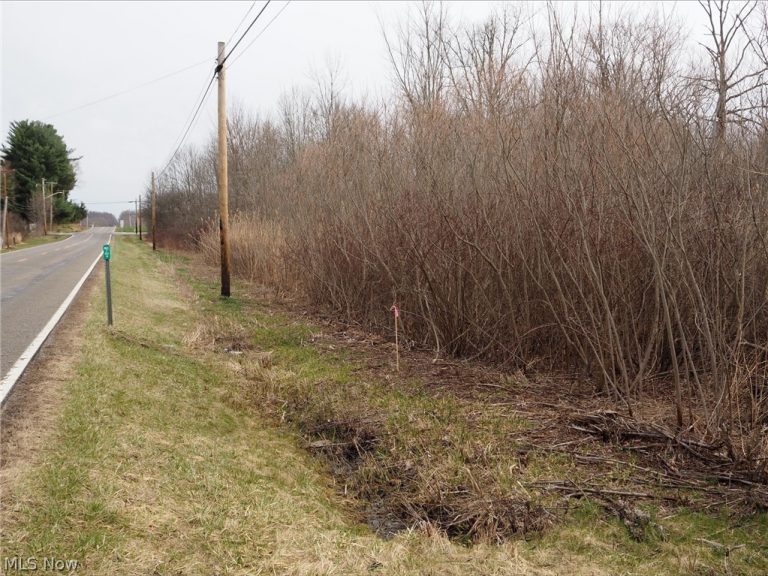 V/L 1 Bartholomew Road, Chagrin Falls, OH - Photo 3