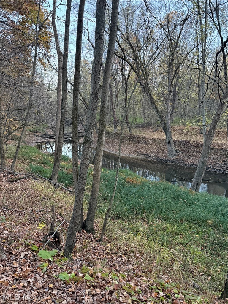8670 Fortney Road, Orwell, OH - Photo 6