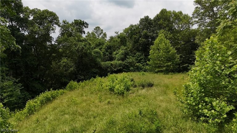 10 Bella Vista Drive, Vienna, WV - Photo 6