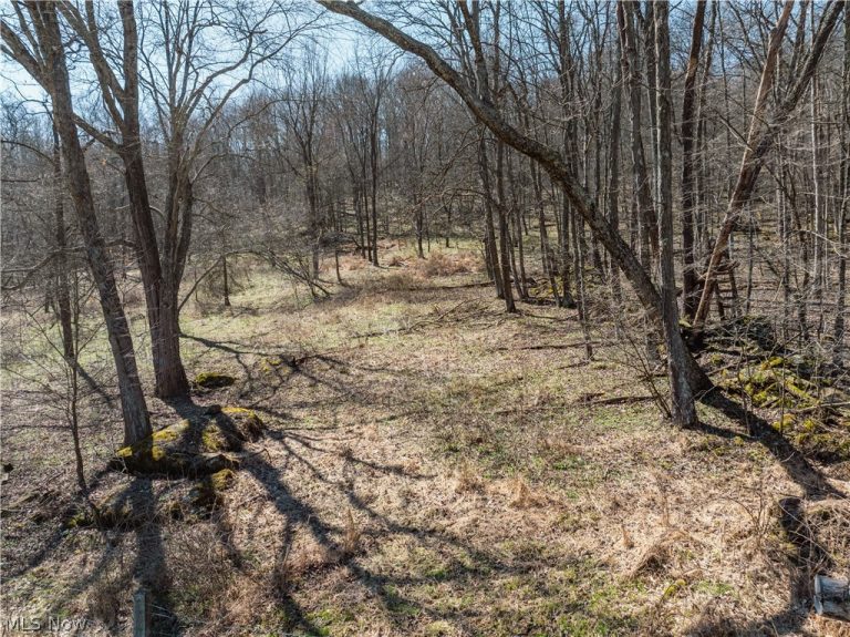 Township Road 34, Killbuck, OH - Photo 2