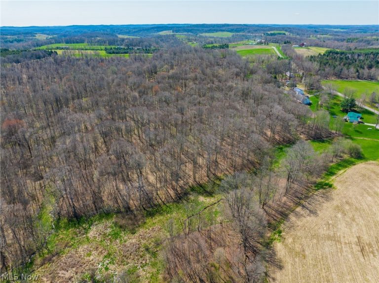 9050 Freeman Road, Lisbon, OH - Photo 3