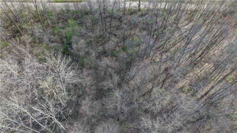 Martin Drive Southeast, Canton, OH - Photo 8