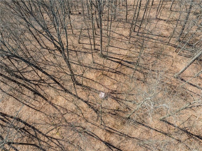 Township Road 34, Killbuck, OH - Photo 8