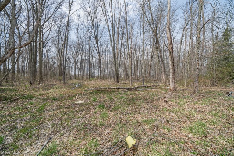 10396 Dewhurst Road, Elyria, OH - Photo 6