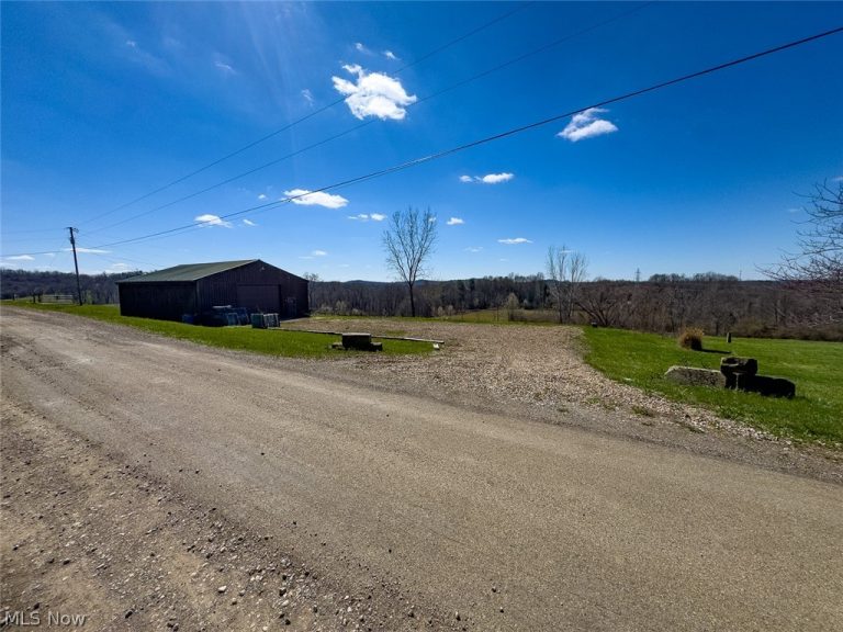 6880 Shaver Road, Blue Rock, OH - Photo 4