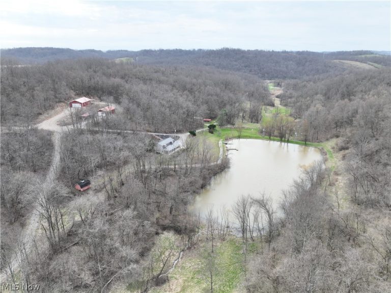 39000 Lees Run Road, Cadiz, OH - Photo 2