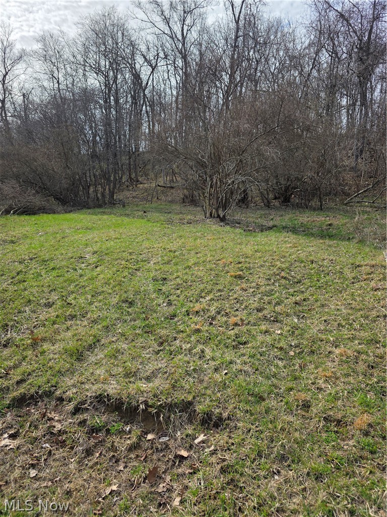 Iroquois Trail, Senecaville, OH - Photo 5