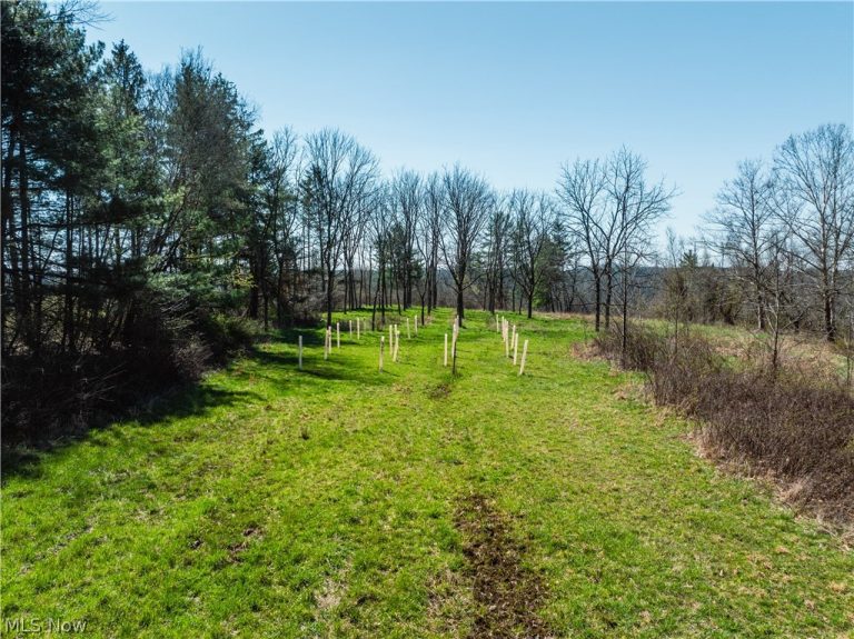 31370 Cadiz Dennison Road, Uhrichsville, OH - Photo 8