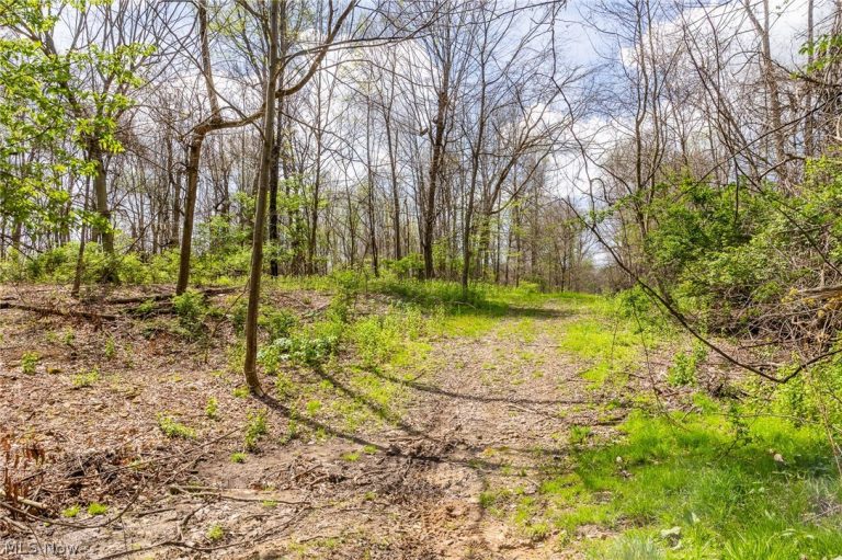105 Hanley Road, Mansfield, OH - Photo 3