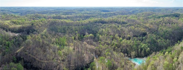 Harrons Ridge Road, Dexter City, OH - Photo 6