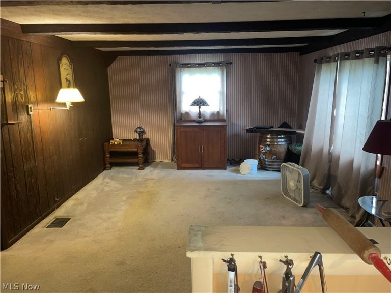 744 Carson Salt Springs Road, Mineral Ridge, OH - Photo 8