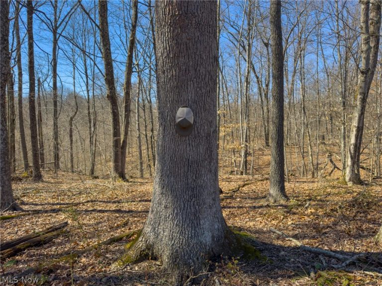 Stoneburner Road, Crooksville, OH - Photo 4