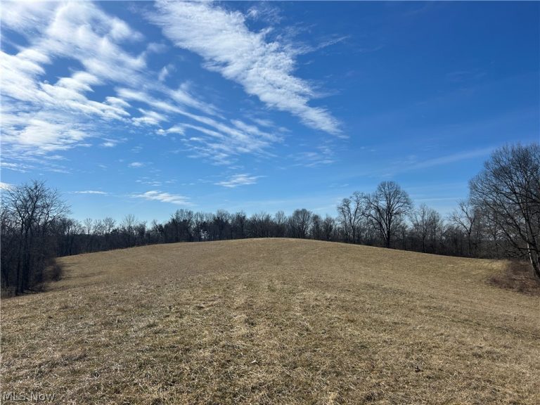 Ridgeview Lane, Blue Rock, OH - Photo 3