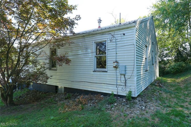 126 Ohio Street, Mingo Junction, OH - Photo 2