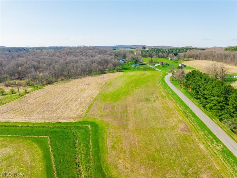 9050 Freeman Road, Lisbon, OH - Photo 5