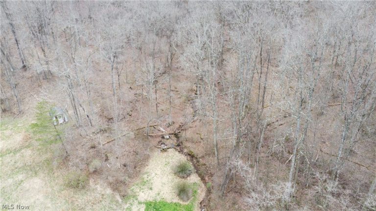 39460 Opossum Creek Road, Sardis, OH - Photo 6