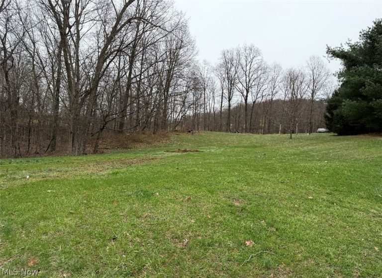 2630 Wilhelm Road, Chandlersville, OH - Photo 4