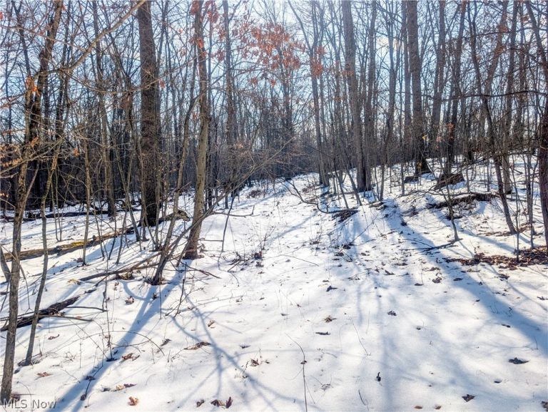 0 Tract 16 Ch 59, Cutler, OH - Photo 2