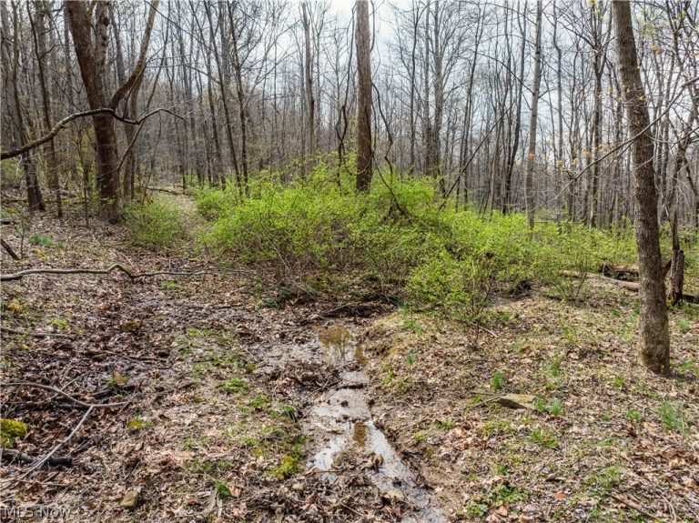 Township Rd 389, Frazeysburg, OH - Photo 6