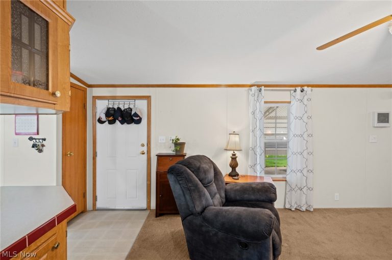 19 Brookins Drive, Olmsted Falls, OH - Photo 4