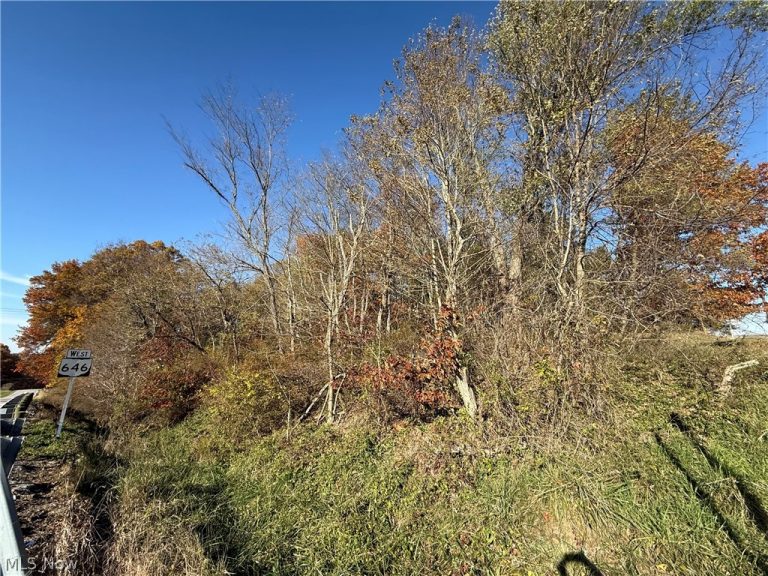 State Route 646, Richmond, OH - Photo 5