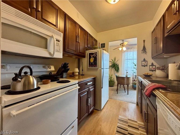 11850 Edgewater Drive #723, Lakewood, OH - Photo 4