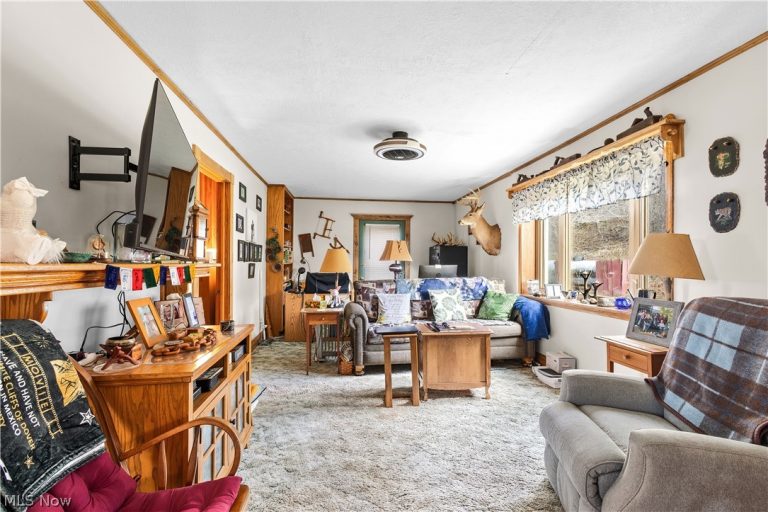 18990 New Gottengen Road, Salesville, OH - Photo 4