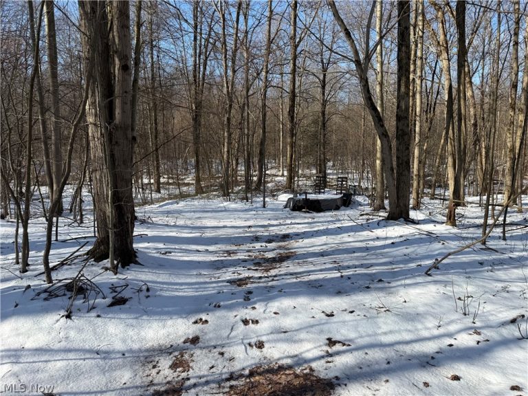 3117 Sweet Road, Conneaut, OH - Photo 2