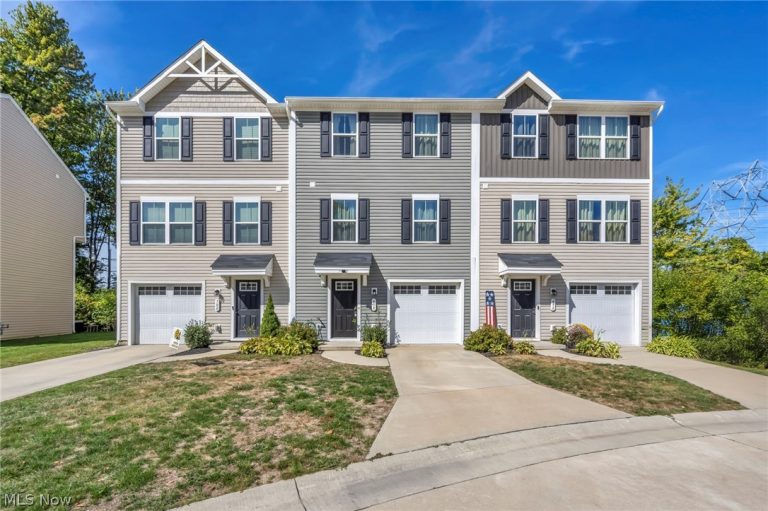 698 Pine Spring Drive, Painesville Twp, OH, 44077