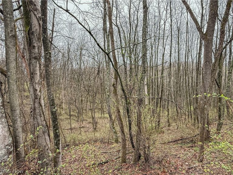 Buck Hill Road, Frazeysburg, OH - Photo 5
